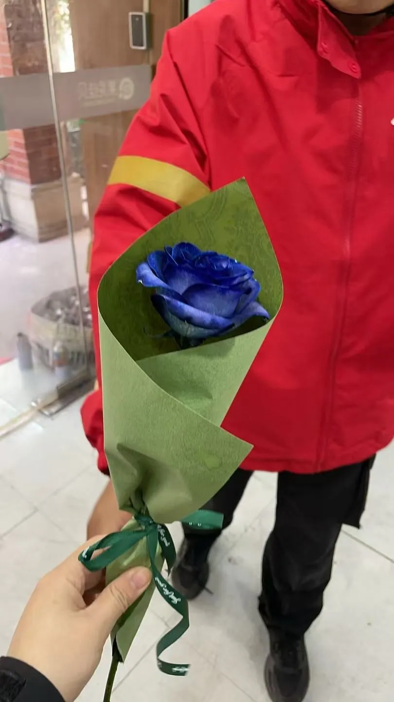 2025年11月11日 · 中午 · 摄影:花店