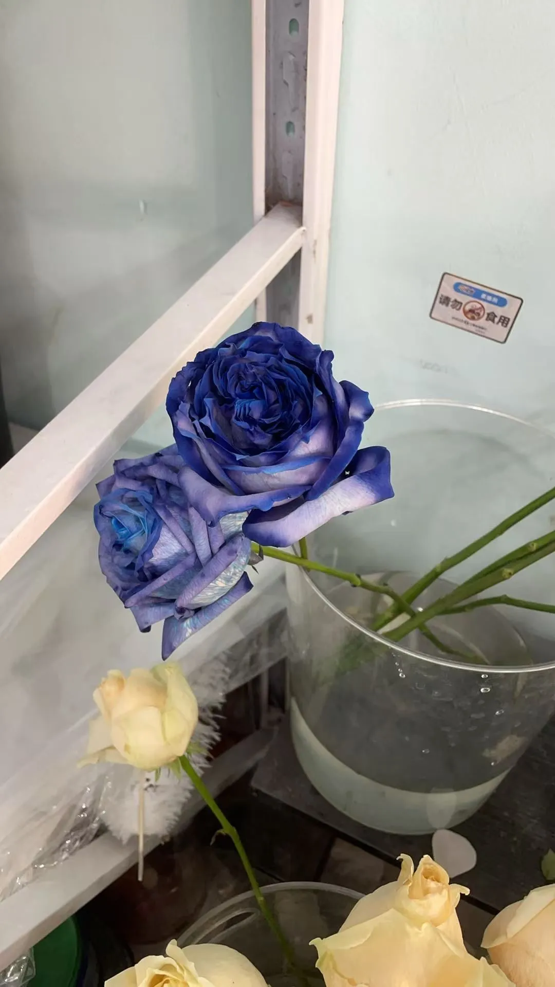 2025年12月4日 · 上午 · 摄影:花店