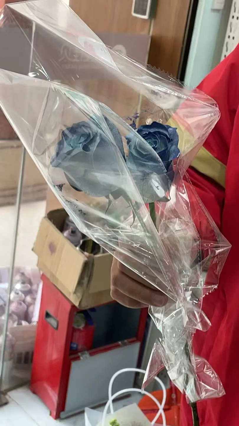 2025年12月31日 · 中午 · 摄影:花店