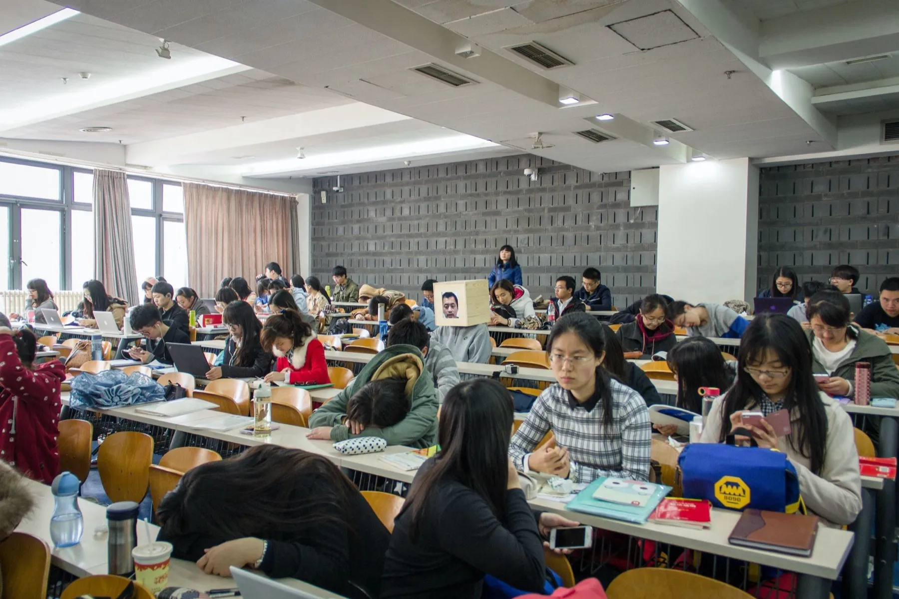 北京 北京大学 2015年